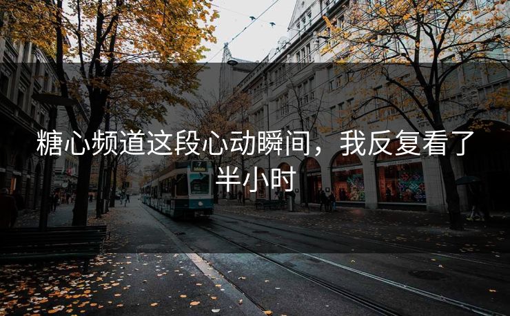 糖心频道这段心动瞬间，我反复看了半小时
