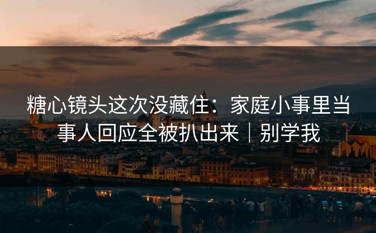 糖心镜头这次没藏住：家庭小事里当事人回应全被扒出来｜别学我