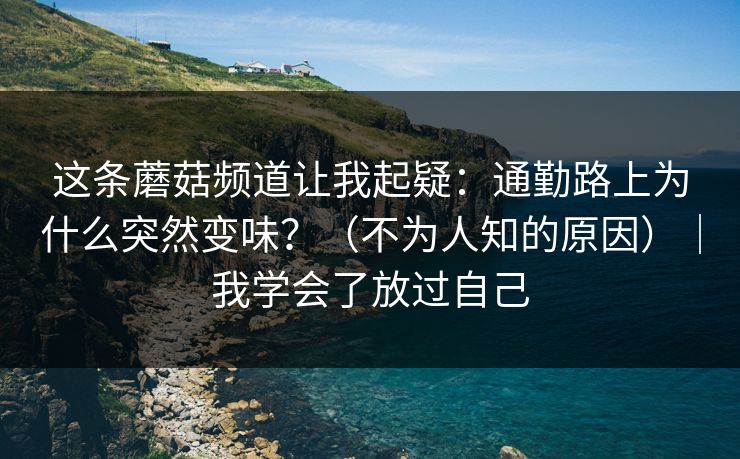 这条蘑菇频道让我起疑：通勤路上为什么突然变味？（不为人知的原因）｜我学会了放过自己