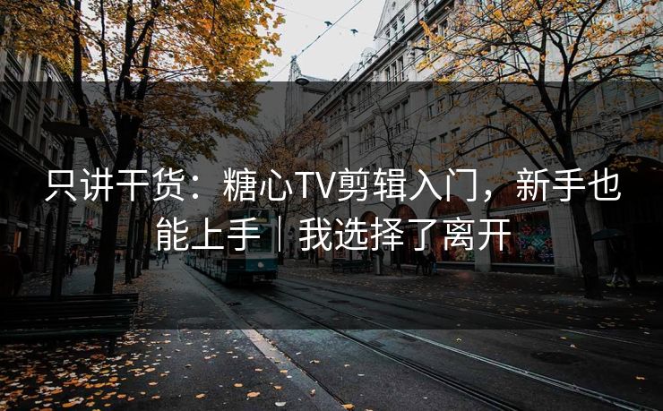 只讲干货：糖心TV剪辑入门，新手也能上手｜我选择了离开