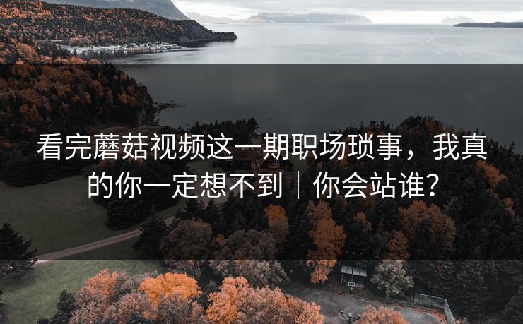 看完蘑菇视频这一期职场琐事，我真的你一定想不到｜你会站谁？