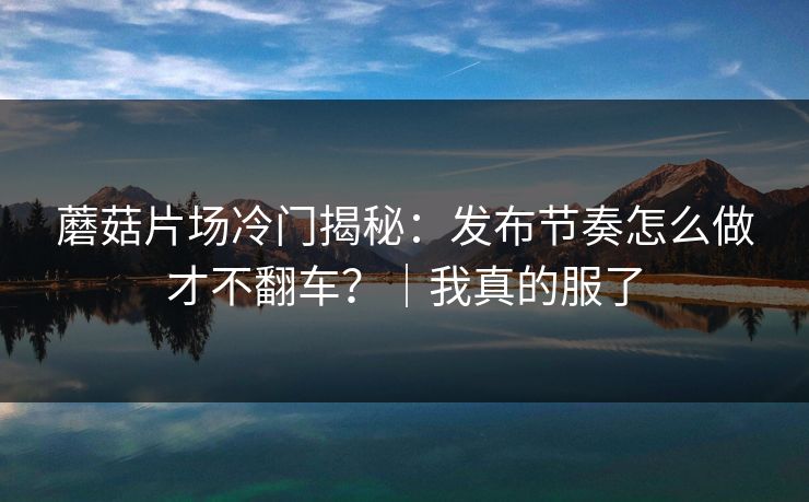 蘑菇片场冷门揭秘：发布节奏怎么做才不翻车？｜我真的服了