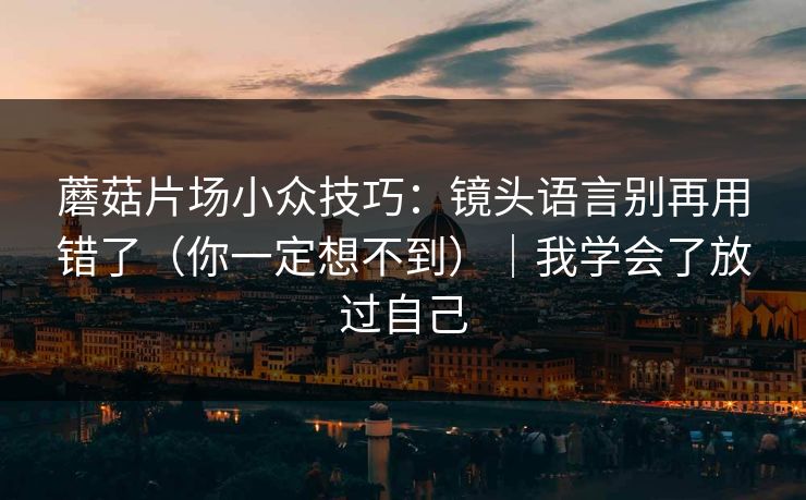 蘑菇片场小众技巧：镜头语言别再用错了（你一定想不到）｜我学会了放过自己