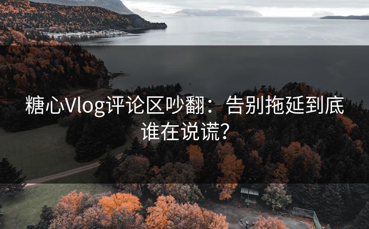 糖心Vlog评论区吵翻：告别拖延到底谁在说谎？