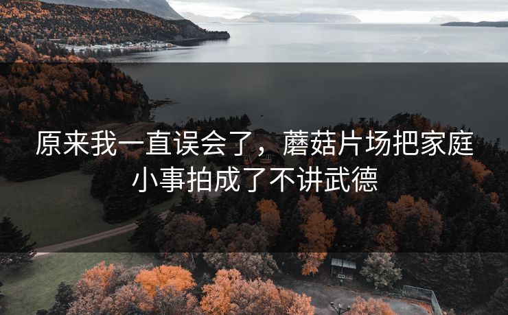 原来我一直误会了，蘑菇片场把家庭小事拍成了不讲武德